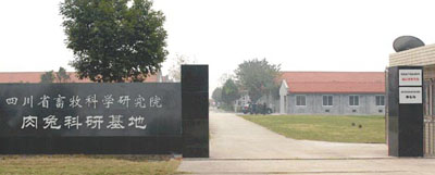 �Ĵ������о���